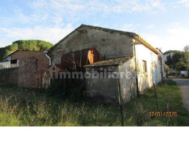 Laboratorio all'asta Località Sabatina, Campagnatico