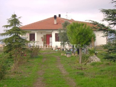 Azienda agricola in Vendita