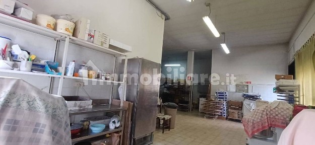 Grosseto, Cittadella - Ospedale, via inghilterra, 41