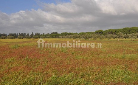 Villa unifamiliare Stradone del Tripesce, Vada, Rosignano Marittimo