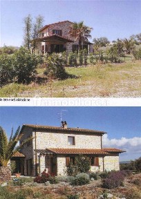 Azienda agricola all'asta Strada Provinciale delle Conce snc, Grosseto