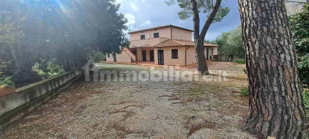 Locale commerciale in Vendita