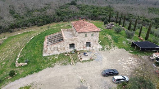 Azienda agricola in Vendita