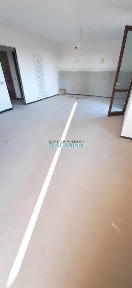 Cecina