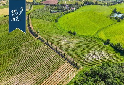Azienda agricola in Vendita