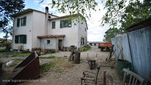 Scansano, Strada Statale 323