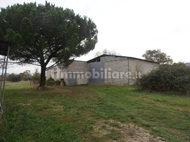 Locale commerciale in Vendita