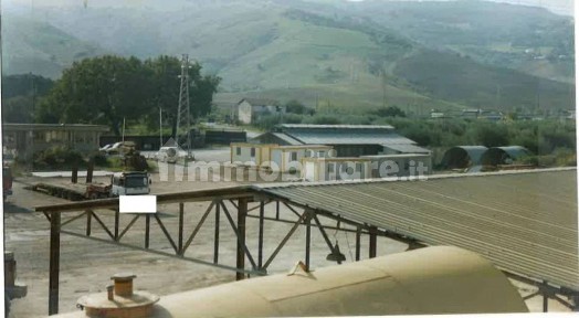 Capannone all'asta Strada Provinciale 27 Salandra-Grottole snc, Salandra
