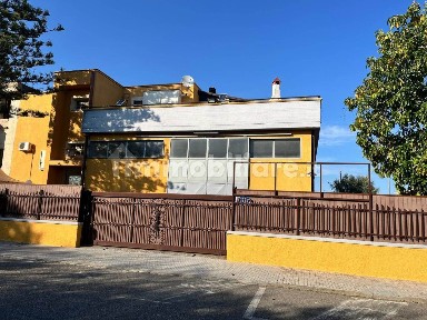 Policoro