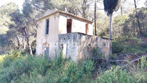Capoliveri