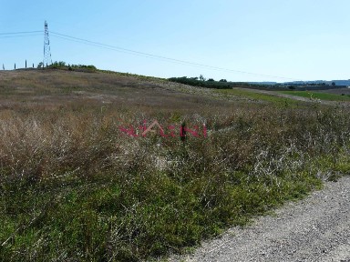 Azienda agricola in Vendita