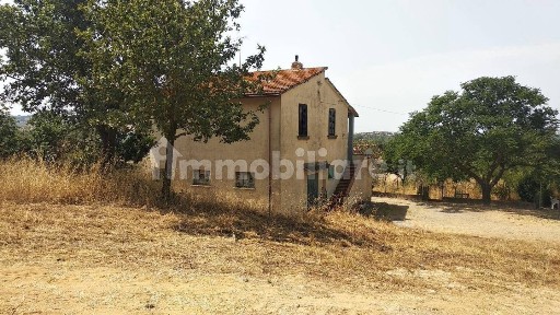 Azienda agricola in Vendita