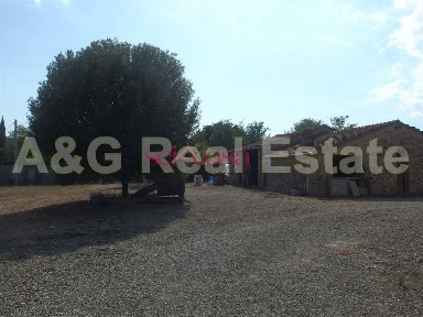 Azienda agricola in Vendita