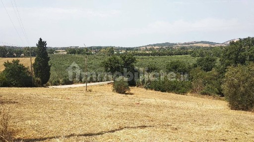 Azienda agricola in Vendita
