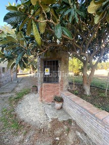 Locale commerciale in Vendita