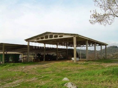 Azienda agricola in Vendita