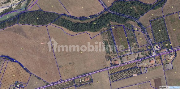 Azienda agricola in Vendita