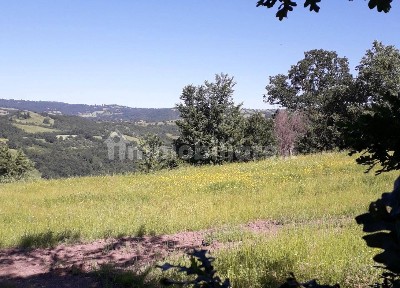 Agriturismo in Vendita