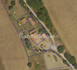 Azienda agricola in Vendita