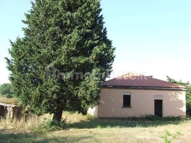 Gavorrano