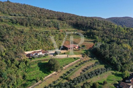 Villa unifamiliare via Roma, San Germano Dei Berici, Val Liona