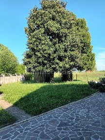 Villa unifamiliare via Settimo, Colzé, Montegalda