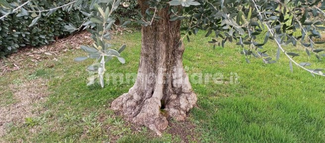 Villa bifamiliare via Summano 100, Preara Moraro Levà Nord, Montecchio Precalcino