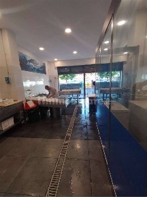 Alimentari - Gastronomia in Vendita