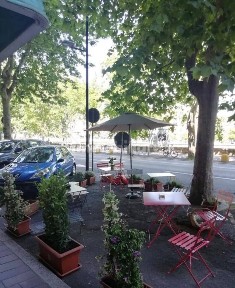 Savona