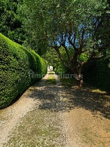 Villa unifamiliare, ottimo stato, 540 m², Bassano del Grappa