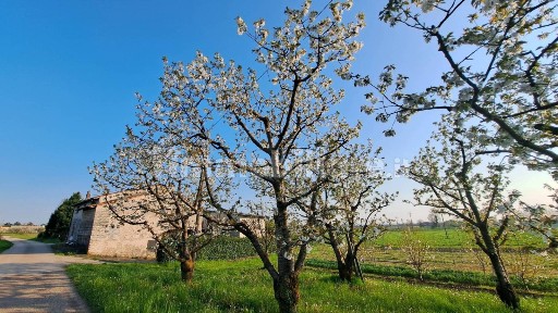 Colceresa, Via Cantarana