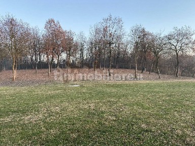 Villa unifamiliare, ottimo stato, 350 m², Centro, Alonte
