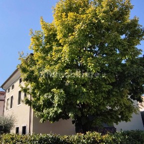 Villa unifamiliare via Trieste 92, Centro, Thiene