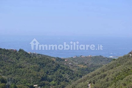 Cogorno, Via della Madonnetta