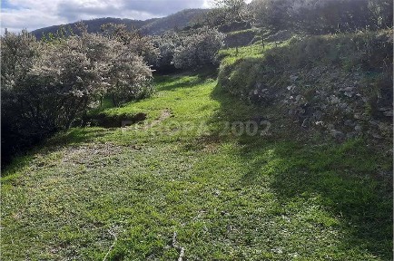 Rustico via san bernardo, Favale di Malvaro