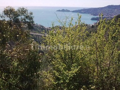 Rustico via Comega, San Maurizio - Montallegro, Rapallo