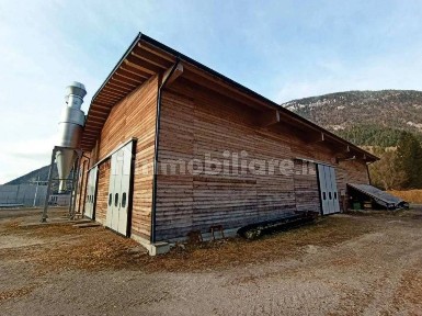 Capannone all'asta via Loc. Cimagogna, Auronzo di Cadore