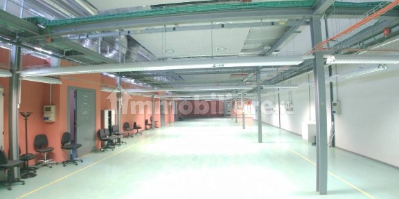Magazzino - Deposito in Affitto