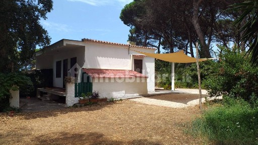 Trilocale via Palazzo, Sabaudia