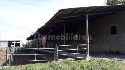 Rustico - casale all'asta via Ripaldina di Sopra San c., Arena Po