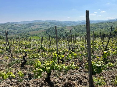 Rustico Località Pezzolo, Montalto Pavese