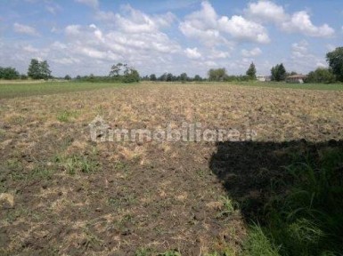 Cascina via Roma, Centro, Badia Pavese
