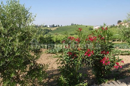 Rustico, buono stato, 280 m², Centro, Montù Beccaria