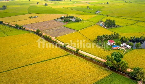 Rustico - casale all'asta, Mortara
