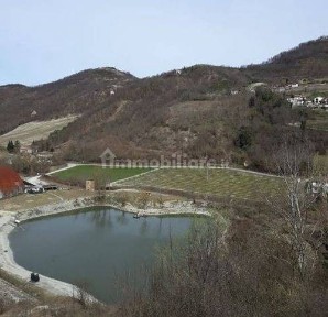 Rustico frazione Pianetta, Borgo Priolo