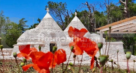 Martina Franca, Strada Primicerio Zona L