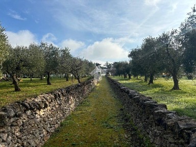 Rustico via Locorotondo 103, Martina Franca