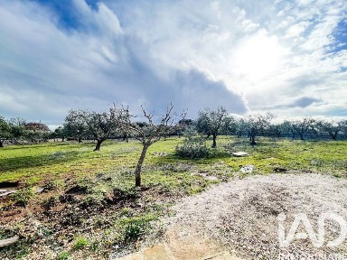 Martina Franca, Strada petrosa pilozzo