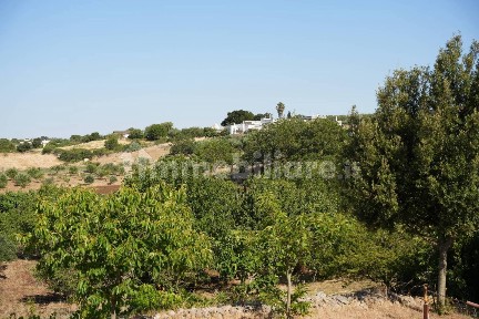 Martina Franca, STRADA PADULA CAPPA, SNC