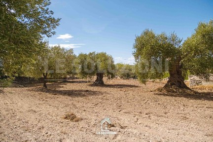 Masseria Contrada Casalrotto, Mottola